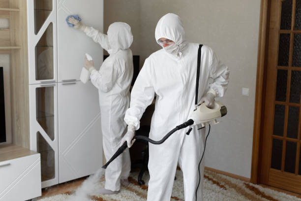 24/7 Emergency Odor Removal experts in Lebanon, VA
